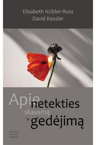 Apie netekties skausmą ir gedėjimą