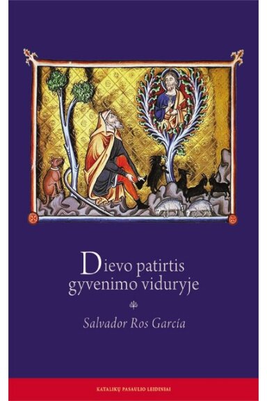 Dievo patirtis gyvenimo viduryje